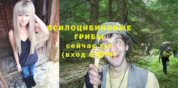 хмурый Абинск