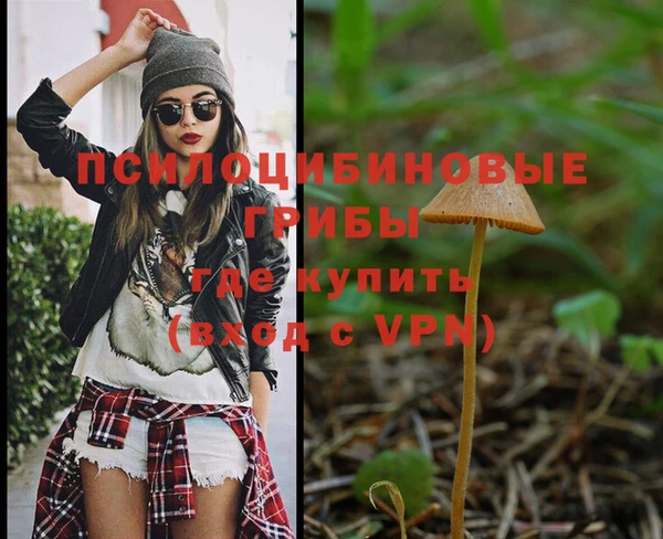 хмурый Абинск